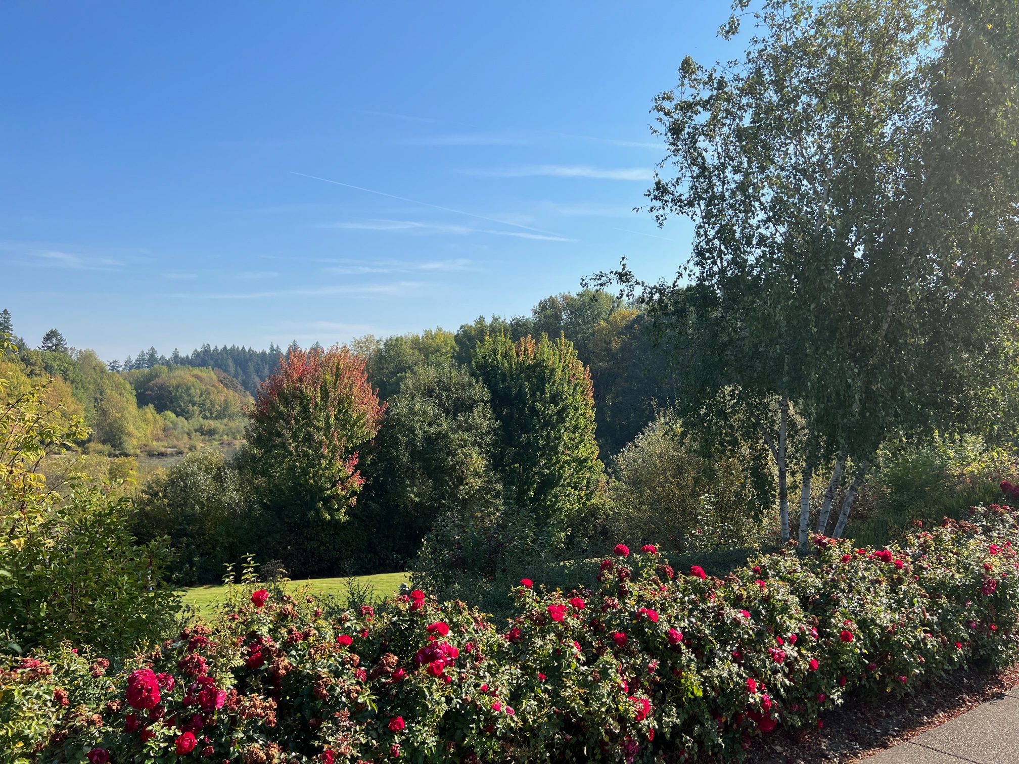 Rood Bridge Park, Hillsboro Oregon